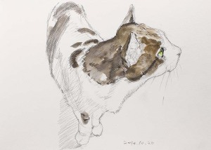 横を向く猫の水彩画の図