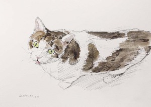 見上げる猫の水彩画の図