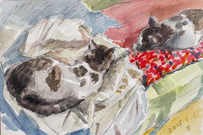 太陽光を浴びて一緒に寝る親子猫の水彩画
