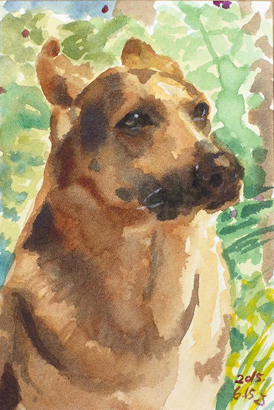 水彩で描いたシェパード犬の図