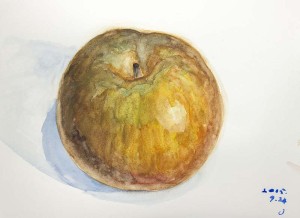 頂いた梨を描いた水彩画