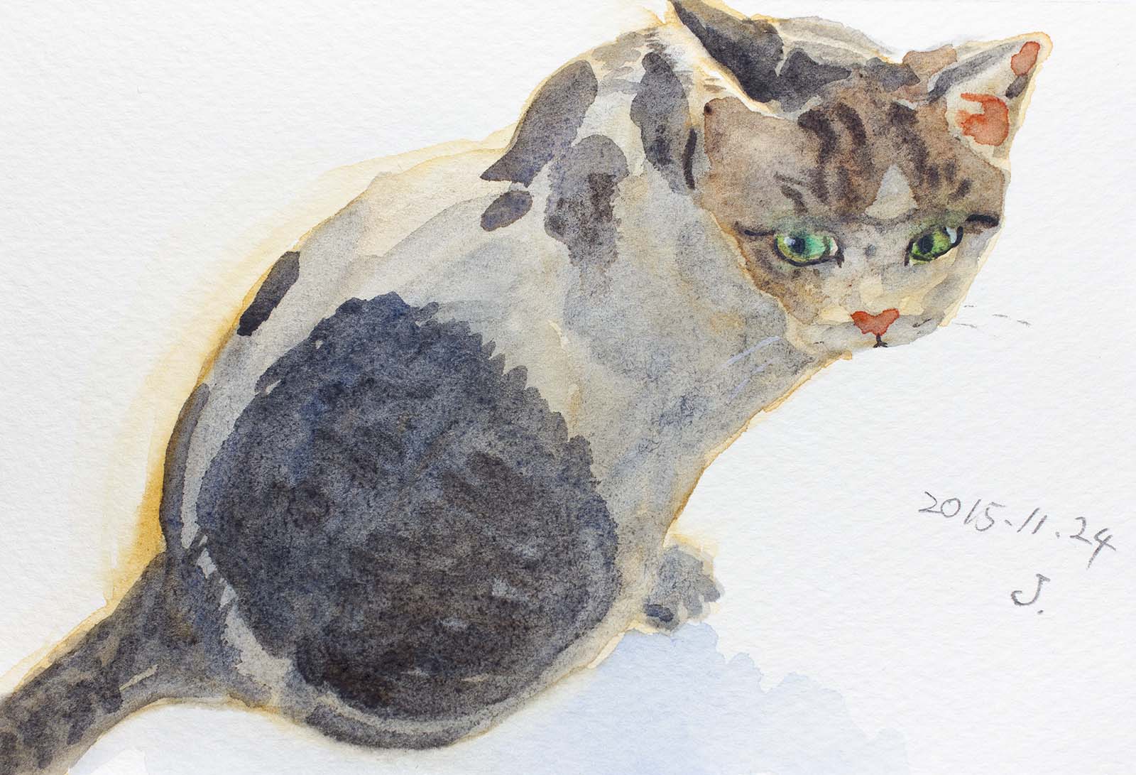 猫のゴンタを描いた水彩画
